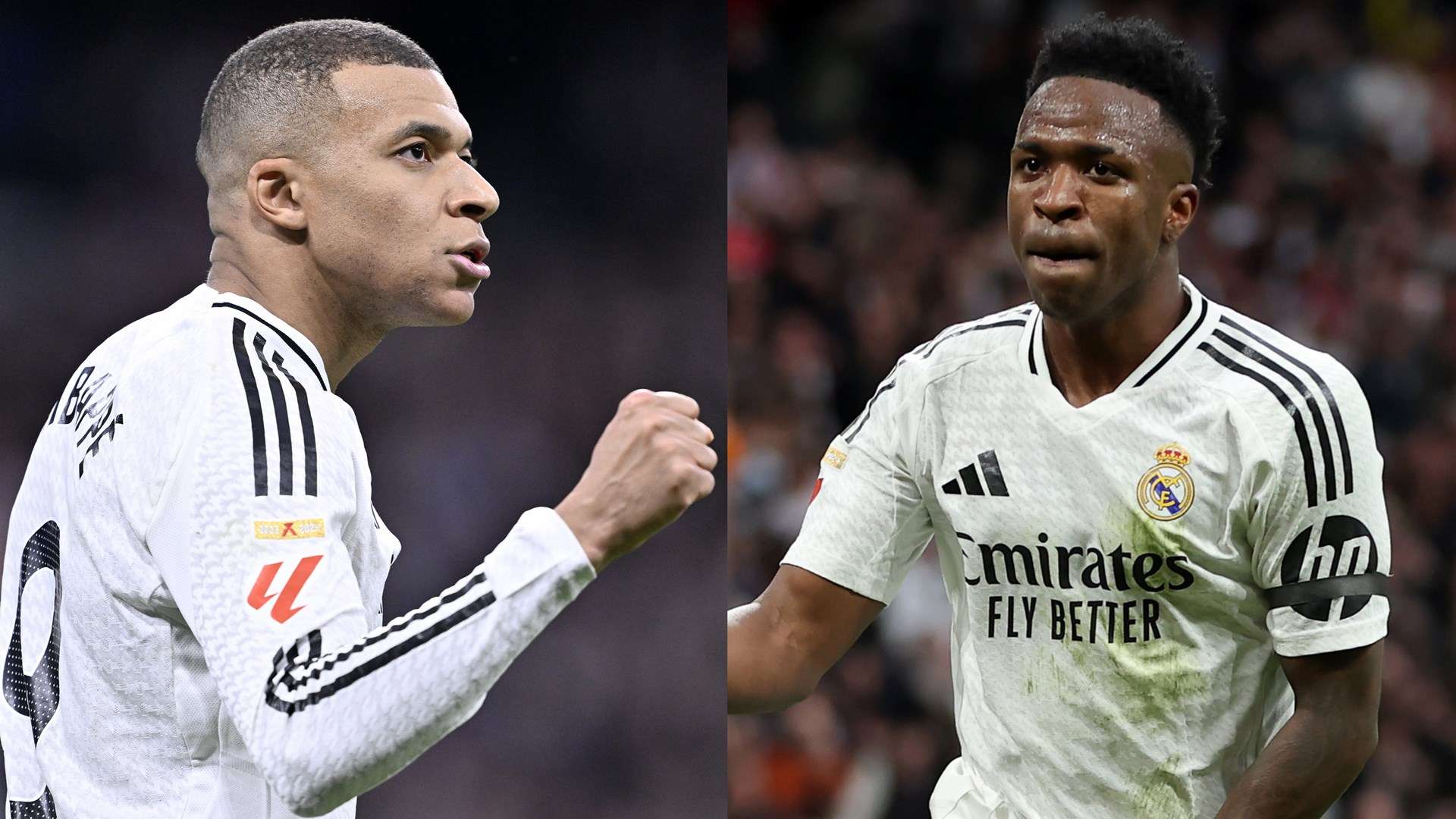 商和媒体的 商和媒体的