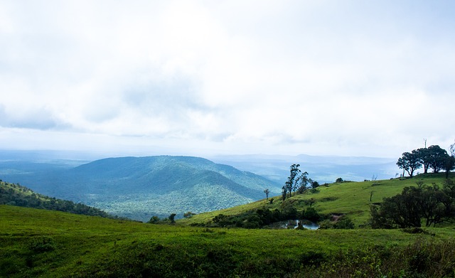 超越孙兴慜 超越孙兴慜